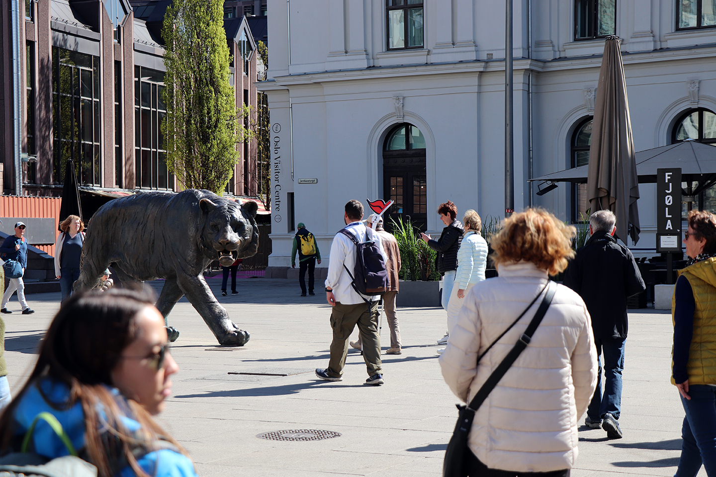 IMG_5350_1440x960