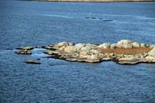 IMG_5652_1440x960
