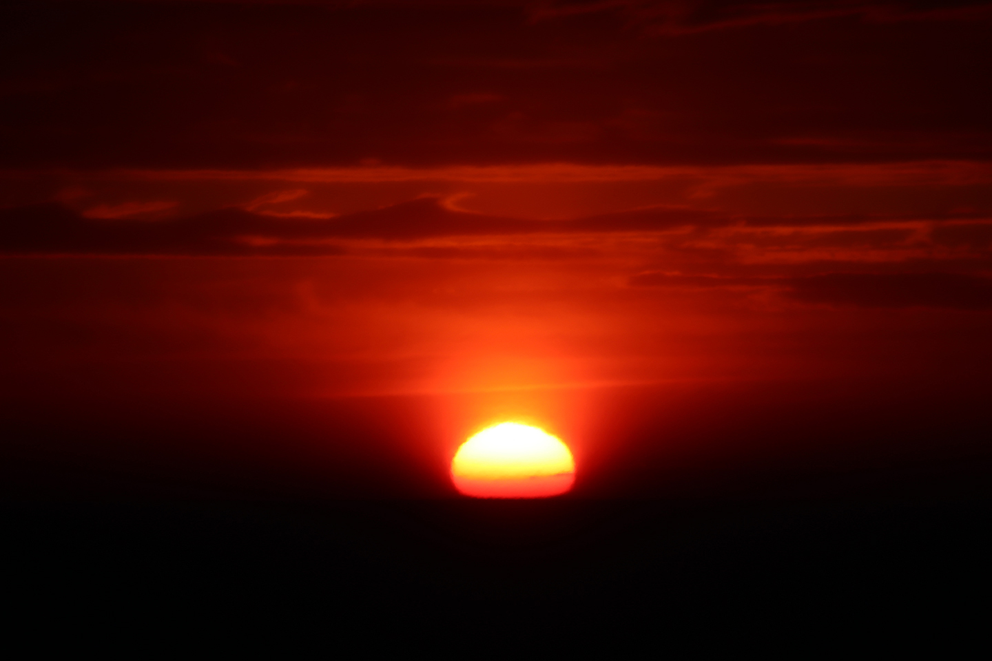 IMG_6915_1440x960