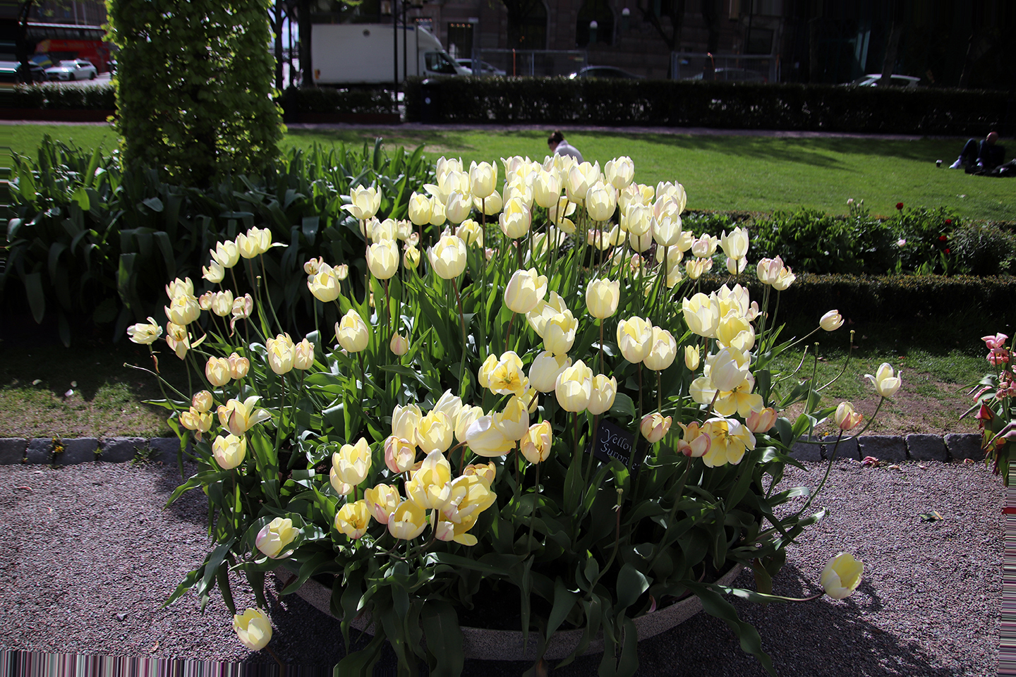 IMG_8260_1440x960