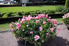 IMG_8252_1440x960