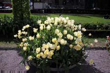 IMG_8260_1440x960