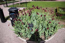 IMG_8276_1440x960